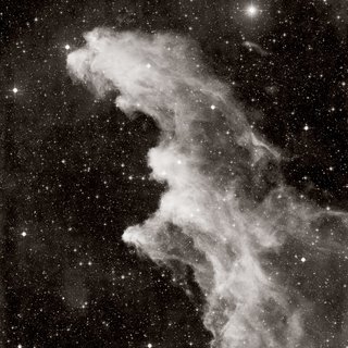 David Malin, IC 2118, the Witch's Head nebula, in Eridanus