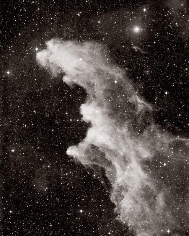 David Malin - IC 2118, the Witch's Head nebula, in Eridanus for Sale ...