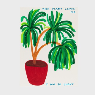 David Shrigley, The Plant Loves Me I Am So Lucky