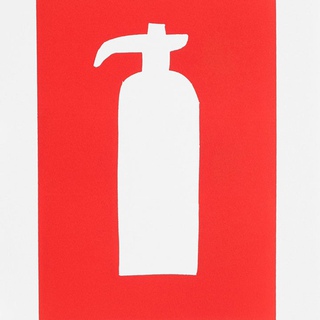 David Shrigley, Fire Extinguisher