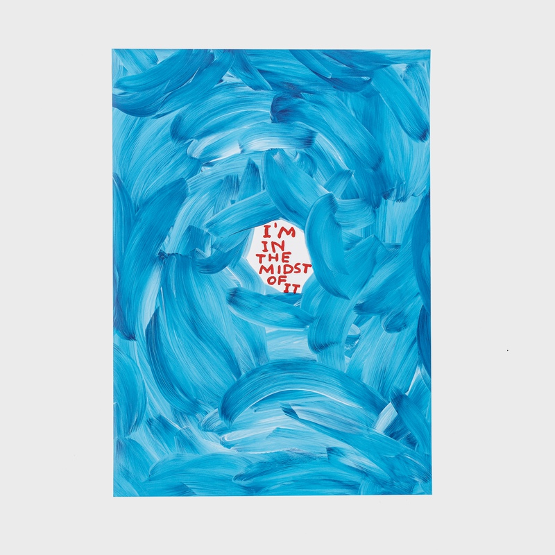 view:88856 - David Shrigley, I'm in the Midst of It (Set of 7) - 