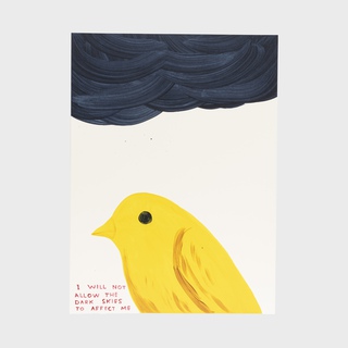 David Shrigley, I Will Not Allow The Dark Skies To Affect Me