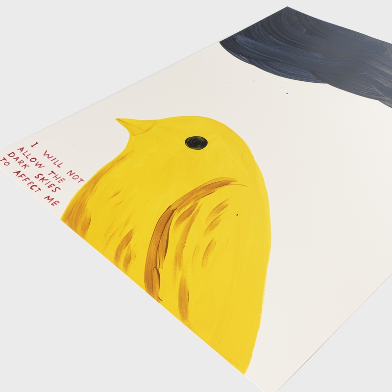 view:89636 - David Shrigley, I Will Not Allow The Dark Skies To Affect Me - 
