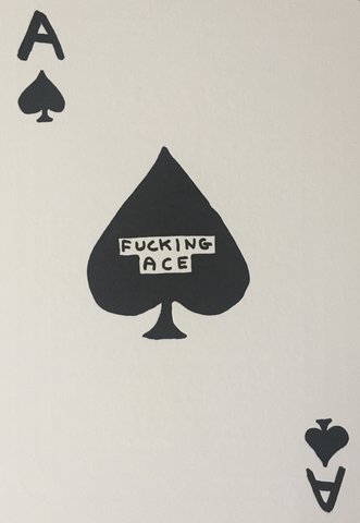 David Shrigley - Fucking Ace (Printed Matter)