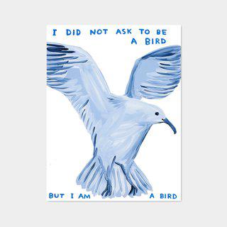 I Did Not Ask to Be A Bird art for sale