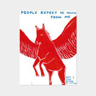 David Shrigley, People expect so much from me