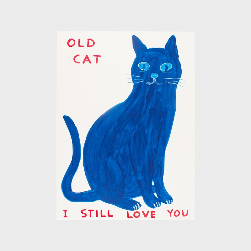 David Shrigley - Old Cat for Sale | Artspace