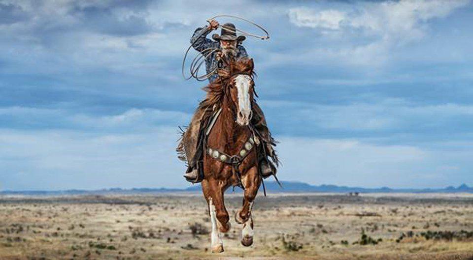 David Yarrow - Wonder (in color), Print