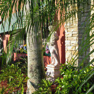 Dennis Church, Restaurant Garden, Florida USA