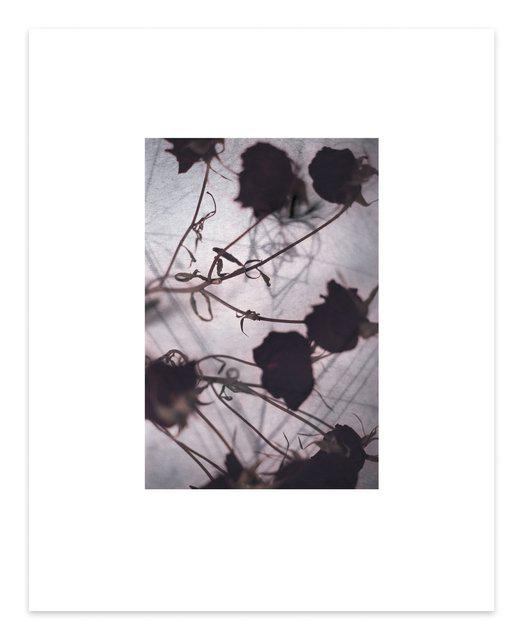 Dirk De Bruycker - The Color of You #1, Print