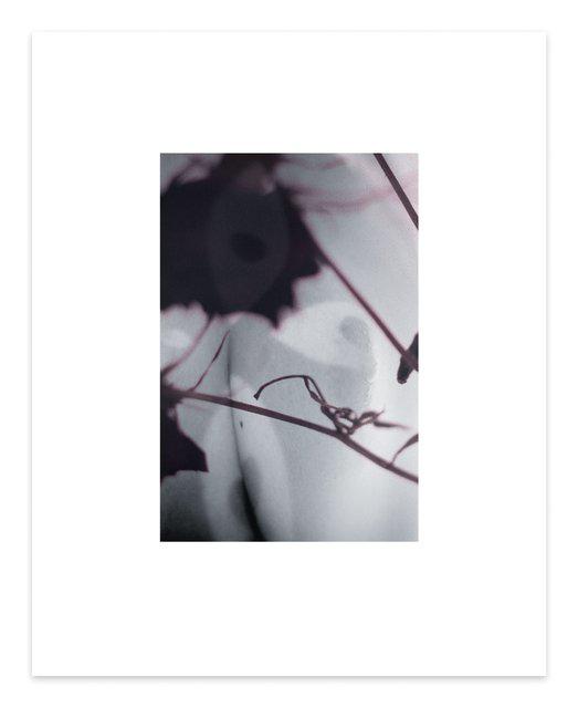 Dirk De Bruycker - The Color of You #2, Print