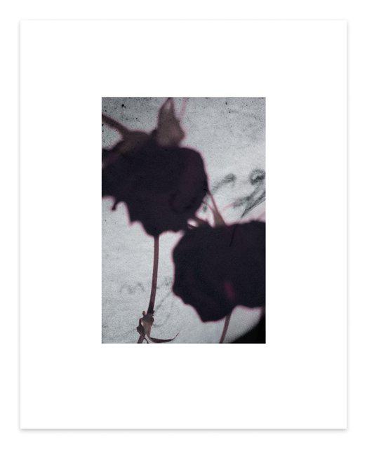 Dirk De Bruycker - The Color of You #3, Print