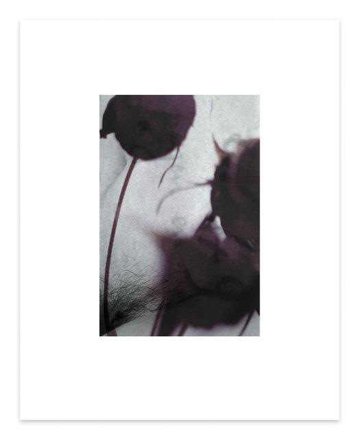 Dirk De Bruycker - The Color of You #4, Print