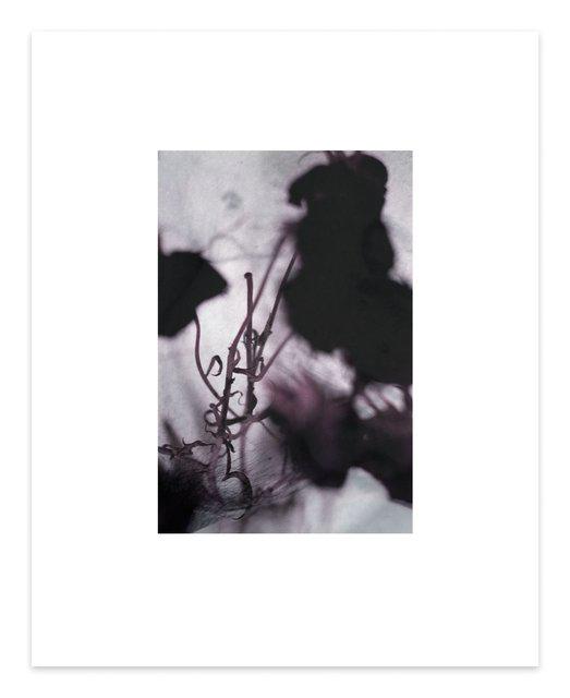 Dirk De Bruycker - The Color of You #5, Print