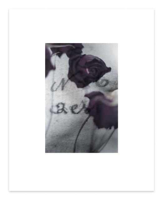 Dirk De Bruycker - The Color of You #6, Print