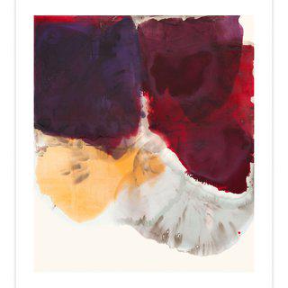 Dirk De Bruycker, Motion of 2