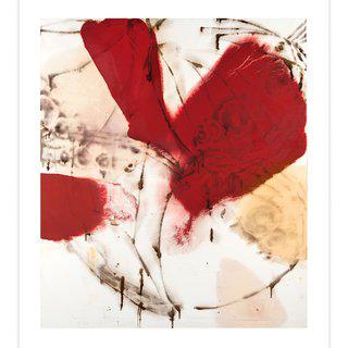 Dirk De Bruycker, Red Morpho
