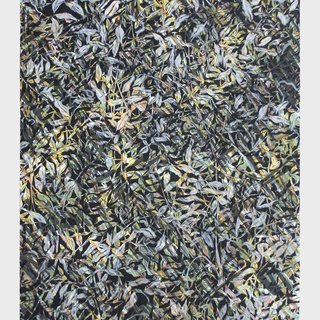 Doug Argue, Leaf (Color)