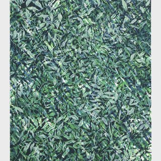 Doug Argue, Leaf (Green)