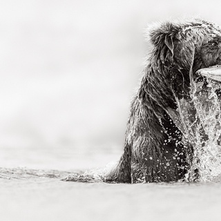 Drew Doggett, Victory