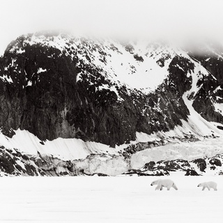 Drew Doggett, Arctic Wanderers