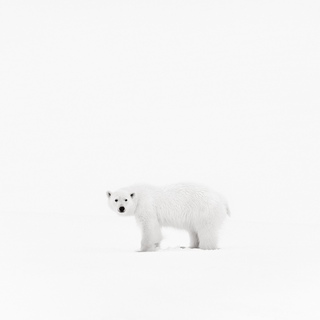 Drew Doggett, Brilliance