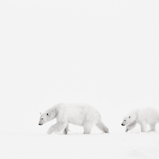 Drew Doggett, Travelers