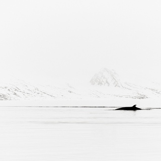 Drew Doggett, Winter Reverie