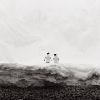 Drew Doggett, Winter’s Lullaby
