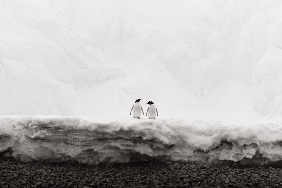 Drew Doggett - Winter’s Lullaby, Photograph