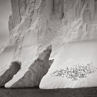 Drew Doggett, The Wall