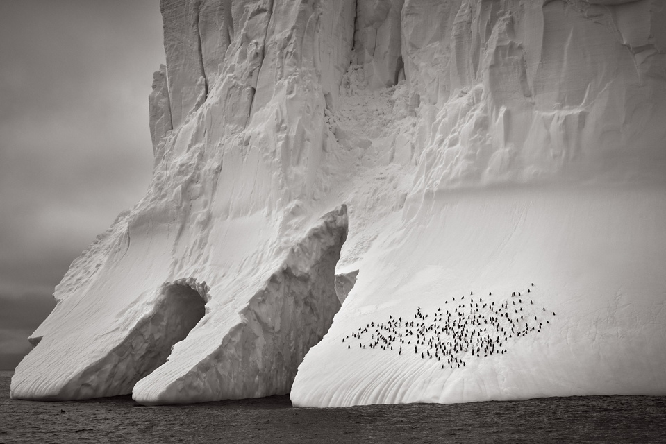 Drew Doggett - The Wall, Photograph
