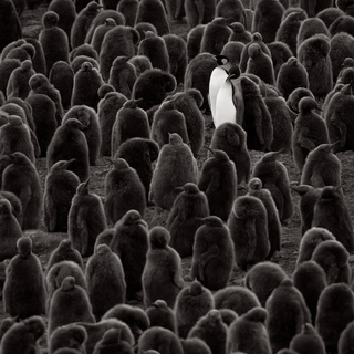 Drew Doggett, Eclipse