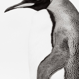 Drew Doggett, Of Earth & Ocean I