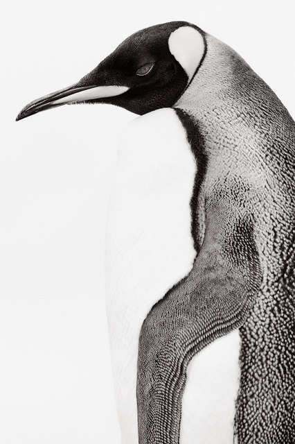 Drew Doggett - Of Earth &amp; Ocean I, Photograph
