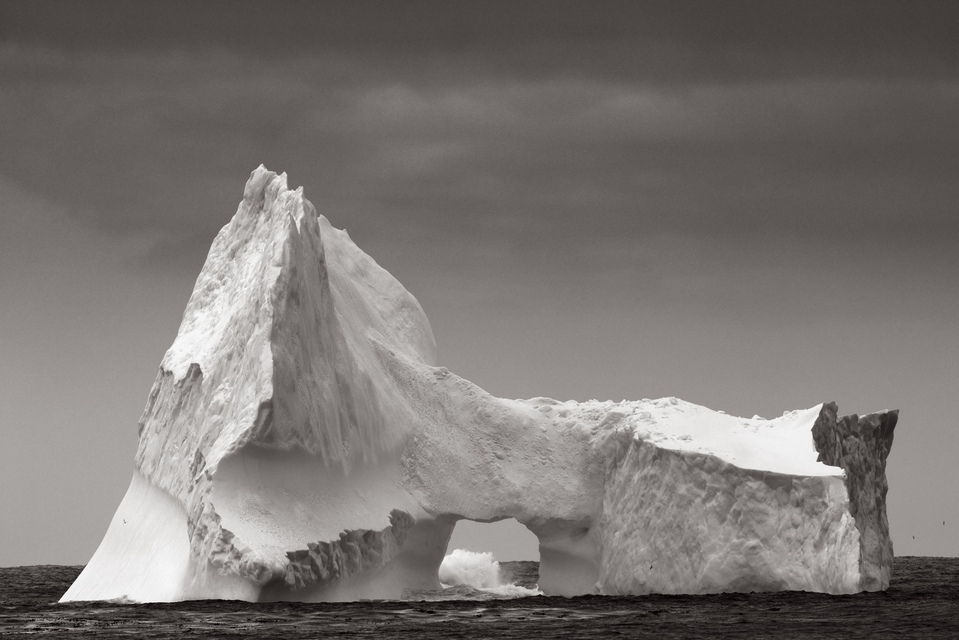 Drew Doggett - Sea Sculpture, Photograph