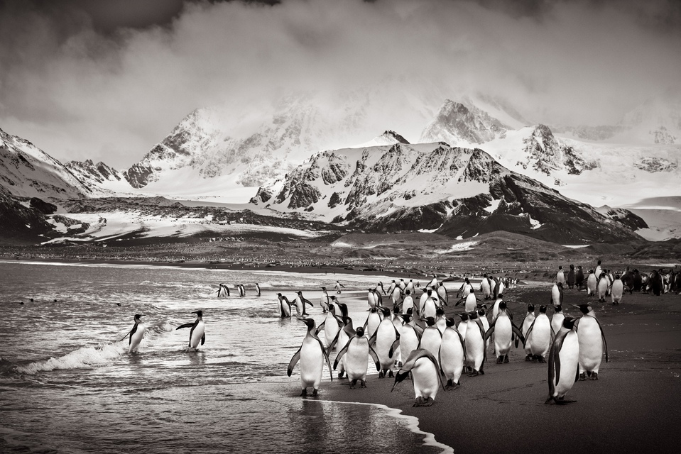 Drew Doggett - Kingsland, Photograph