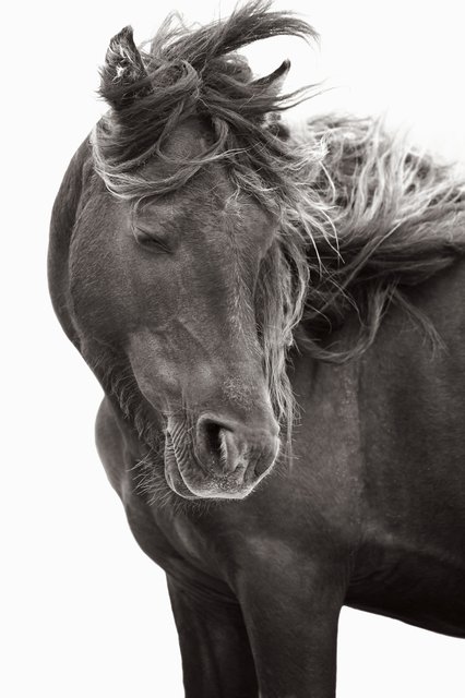 Drew Doggett - Breathless, Photograph