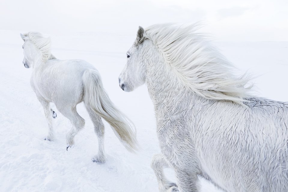 Drew Doggett - Guardians of Light, Photograph