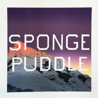 Sponge Puddle art for sale