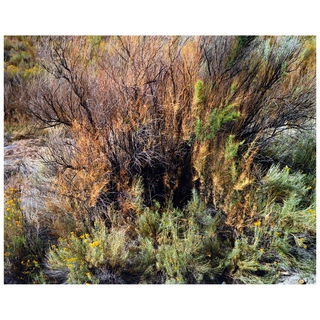 Edward Burtynsky, Landscape Study #7 Utah, USA