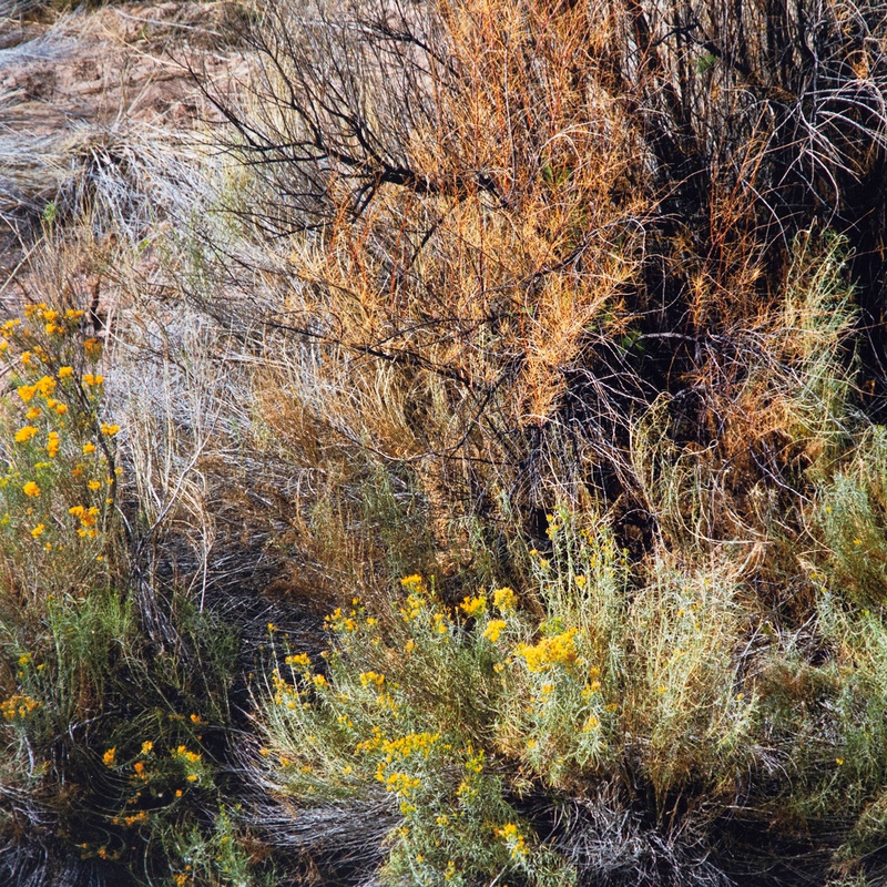 view:76336 - Edward Burtynsky, Landscape Study #7 Utah, USA - 
