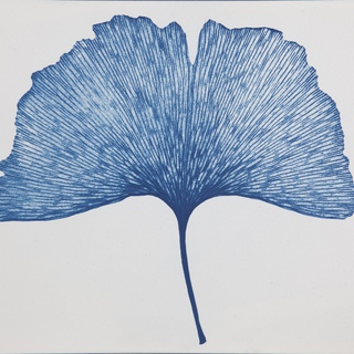 Elisabeth Scheder-Bieschin, Gingko, White