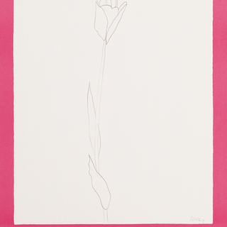 Ellsworth Kelly, 1980 Benefit Poster