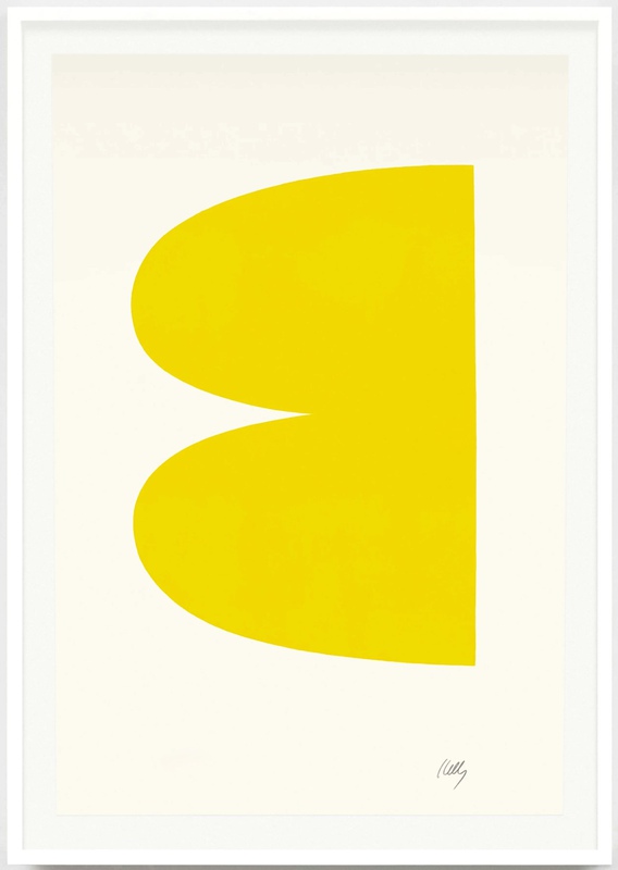 exhibition - Yellow