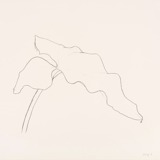 Ellsworth Kelly, Leaf I (from Twelve Leaves Series)