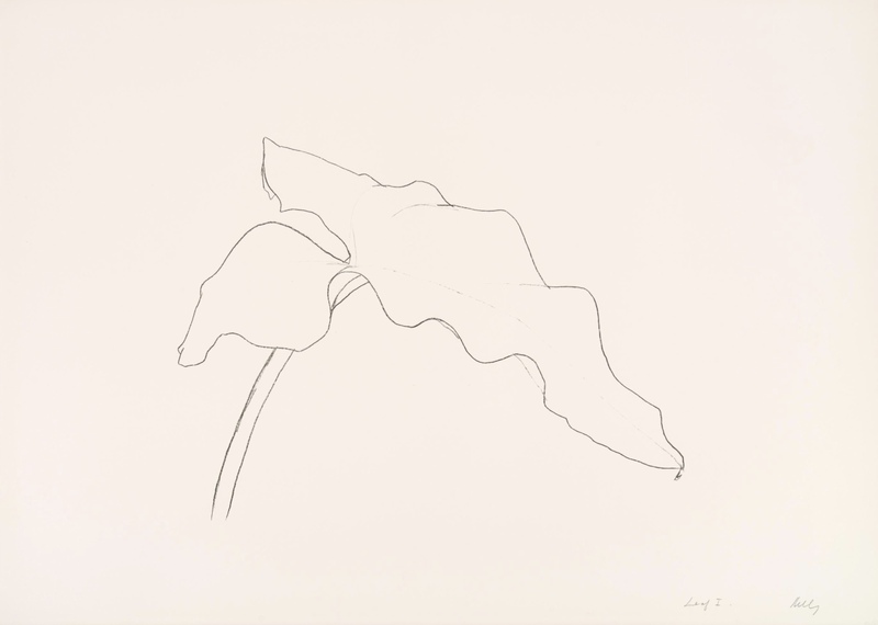 exhibition - Leaf I (from Twelve Leaves Series)