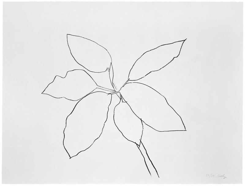 Elsworth Kelly, St. Martin Tropical Plant, 1981, 1-color lithograph, 26.00” x 34.00”, Edit