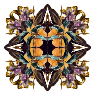 Mandala 8B, From the Mandala Series art for sale