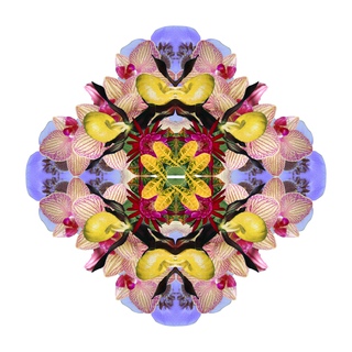 Mandala 3B, From the Mandala Series art for sale